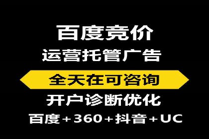 专业SEM服务公司案例分析报告